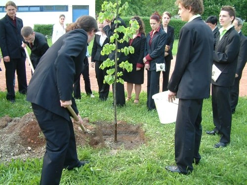 loading
